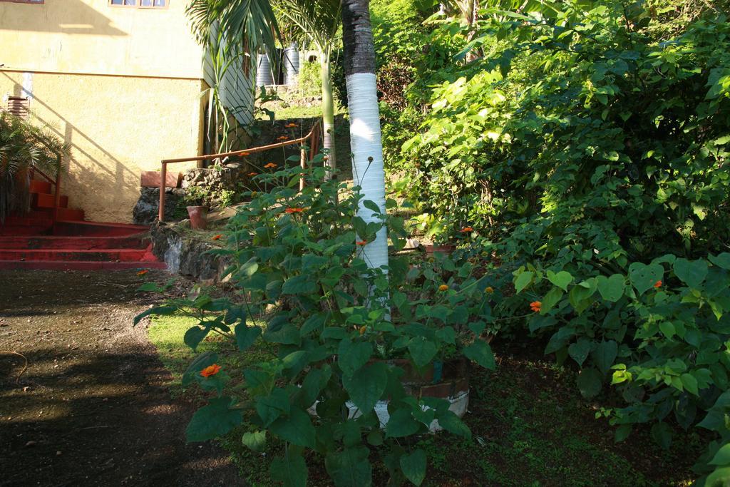 La Familia Guest House And Natural Farm Порт-Антоніо Екстер'єр фото