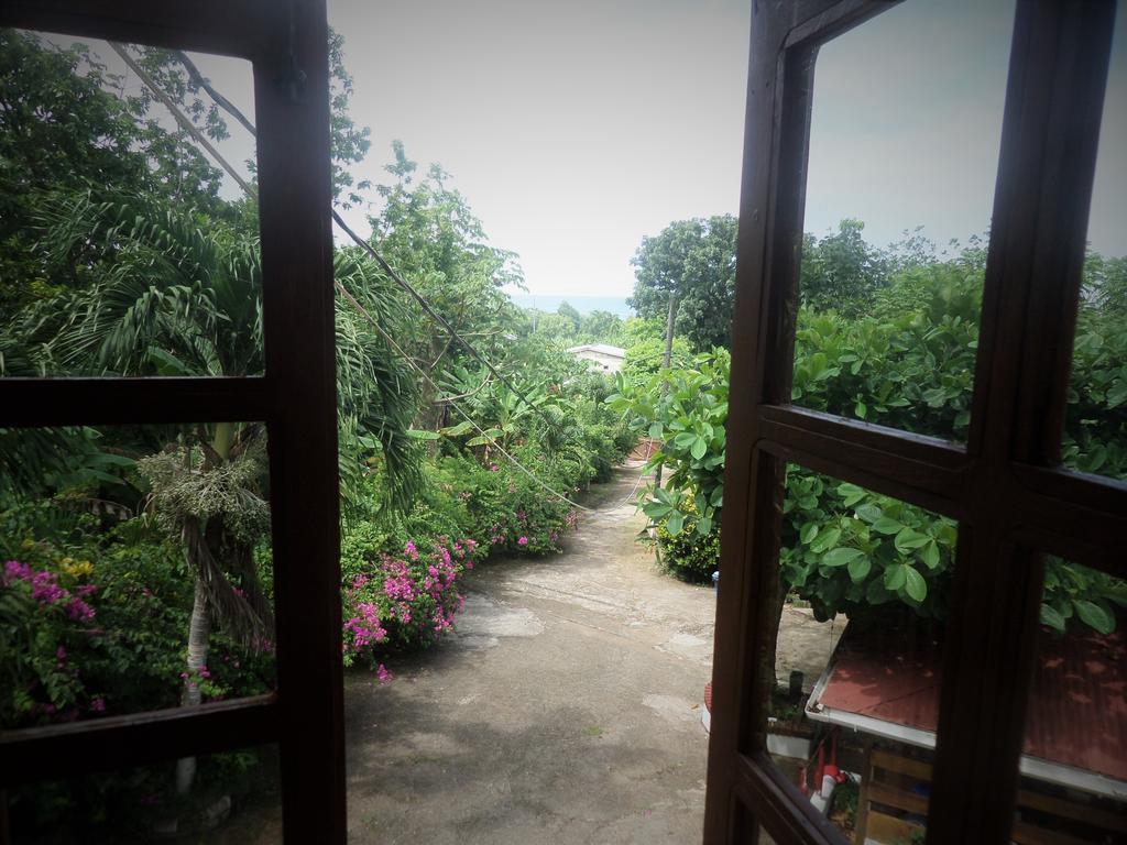 La Familia Guest House And Natural Farm Порт-Антоніо Екстер'єр фото